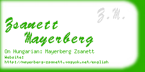 zsanett mayerberg business card